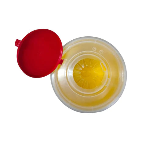 SHARPS DISPOSAL CONTAINER 2.5L